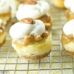 Pecan Praline Mini Cheesecakes - this is the best cheesecake recipe ever! these vanilla cheesecake bites are topped with pecan praline and chantilly cream.